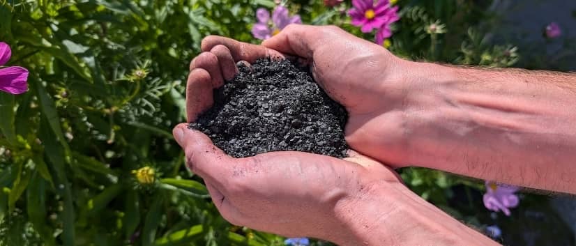 organic soil