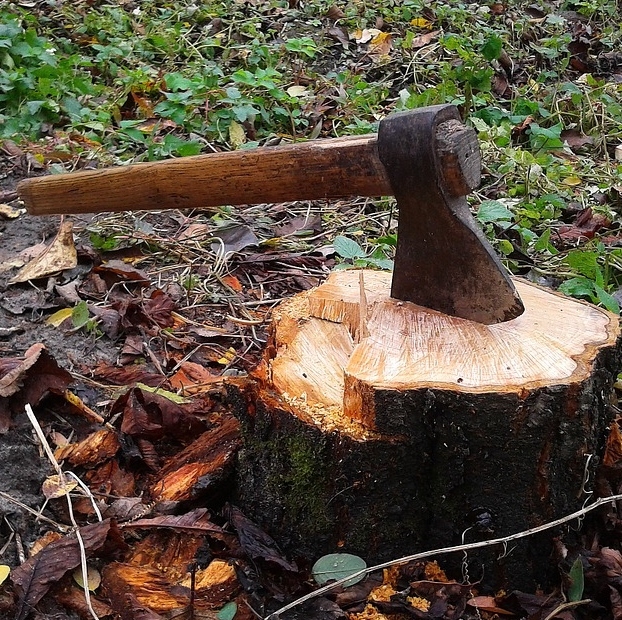 Axes & Forestry Tools