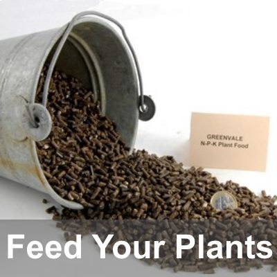 Soil & Plant Food Soil & Plant Food