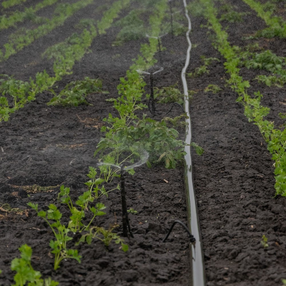Sprinkler Systems