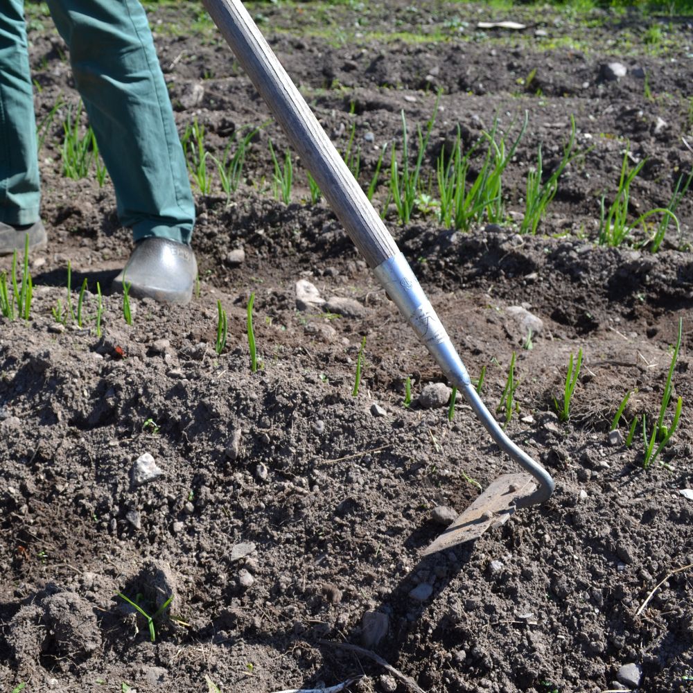 Hoes & Cultivators