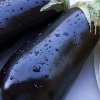Aubergine 'Meronda' Organic Seeds