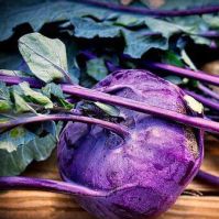 Kohlrabi Azur Star