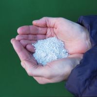 Handful of Mycorrhizal powder for agriculture 