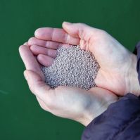 Handful of mycorrhiza for organic growing