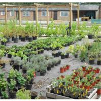 Eco cover used in plant nursery