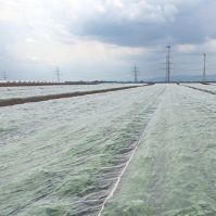 Bionet Professional Insect Net