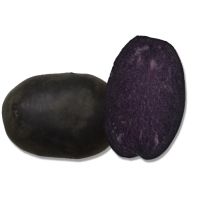 purple seed potatoes