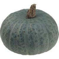 Organic Pumpkin Blue Kuri 