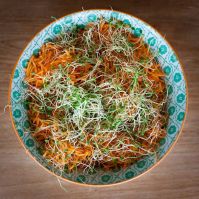 easy sprouting seeds to grow at home