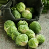 Brussels Sprouts "Groninger"