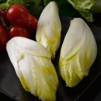 Organic chicory ' Macun'