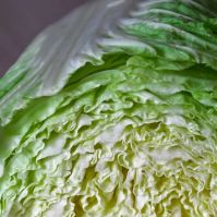 Chinese Cabbage 'Granat' Organic Seeds