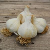 Cledor Organic Garlic