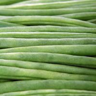 Organic French Bean Seed Cobra