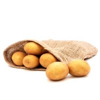 Connect seed potatoes