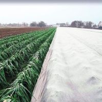 Commercial Crop Covers