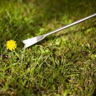 Sneeboer Stainless Steel Hand  Weeder