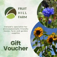 Email Gift Voucher
