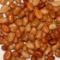 Organic Field Beans