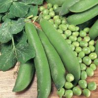 Pea Ambassador