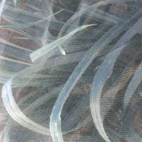Flea Beetle Net