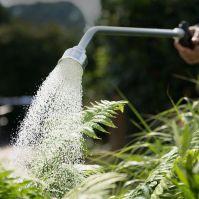 Professional Watering Lance