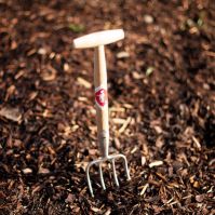 Ground elder fork
