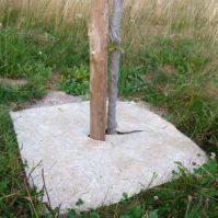 Compostable hemp tree discs