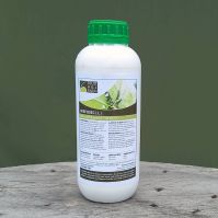 Herbaceous plants insect repellant