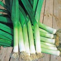 Organic Leeks Hilari