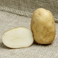 Home Guard Seed Potatoes Ireland
