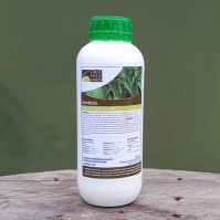 Humisol protects and strengthens plant growth