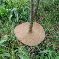 jute coir disc on tree