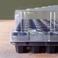 Mini greenhouse
