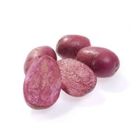 Lily Rose Seed Potatoes