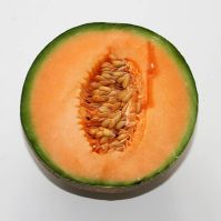 Organic Melon Cantaloupe Seed 'Petis Gris de Rennes'