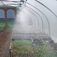 Watering Seedlings