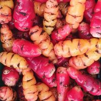 Oca Ireland