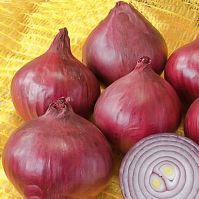 Red Onion 'Robelja' (Seeds)