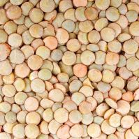 orange lentils