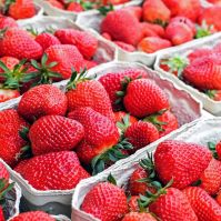 Organic Strawberries
