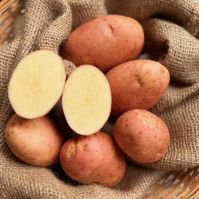 Pink Duke of York Potatoes