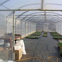 Polyane Tunnel Plastic