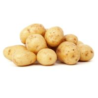 Solist Seed Potatoes