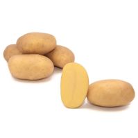 Prada Seed Potatoes Ireland