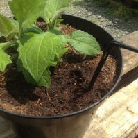 Precission Irrigation