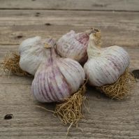 Primor Organic Garlic