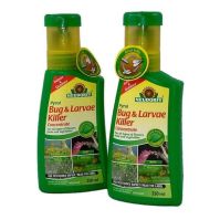 PYRETHRUM CONCENTRATE