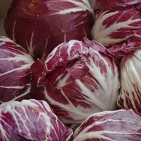 Organic Palla Rossa Seeds